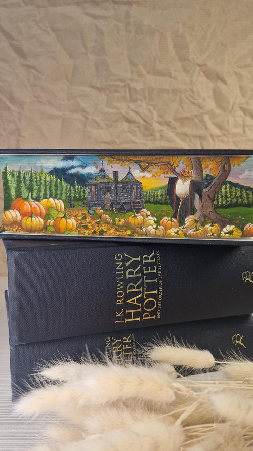 Custom Unique Handpainted HP Hardback Paperback Book Fore-Edge Painting For Wizarding World Lovers