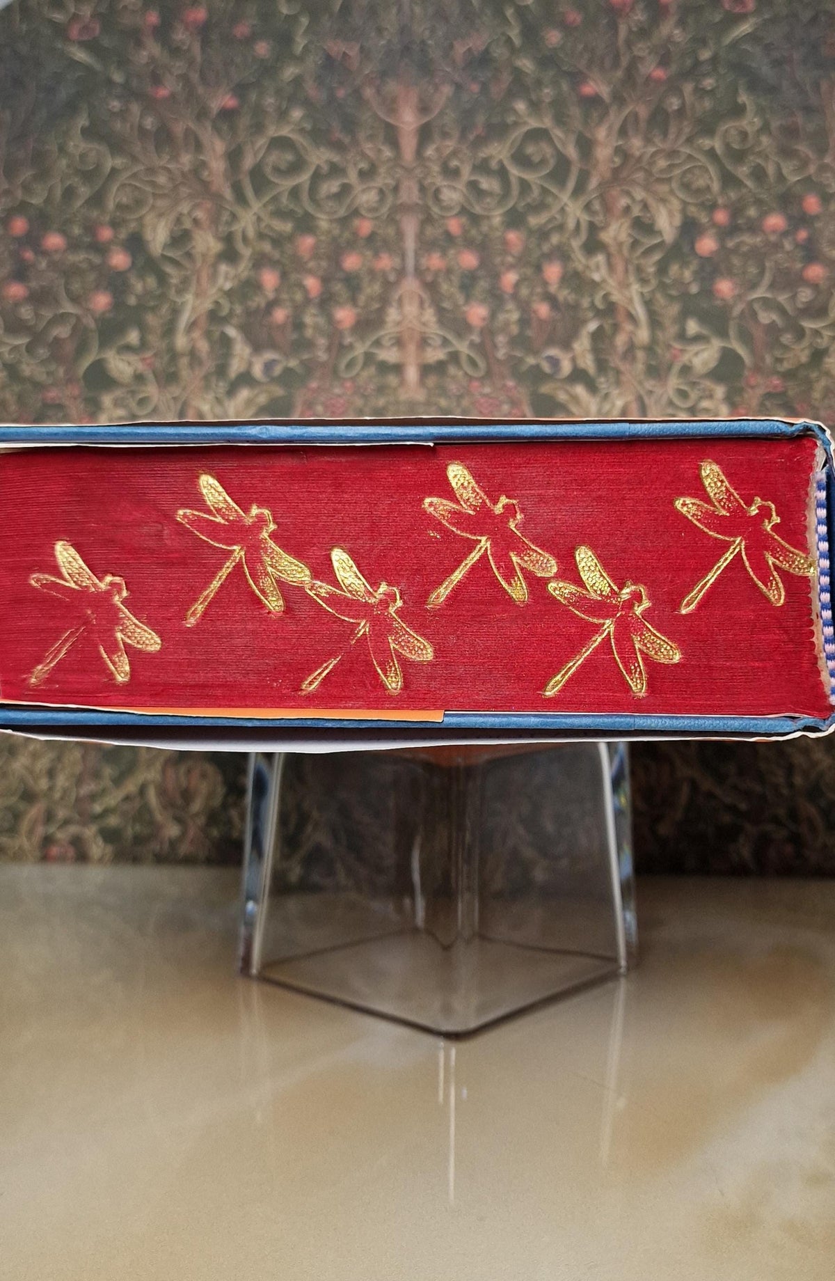 Handpainted 'Dragonfly in Amber' Book with Gauffered Edge (Pre-order)