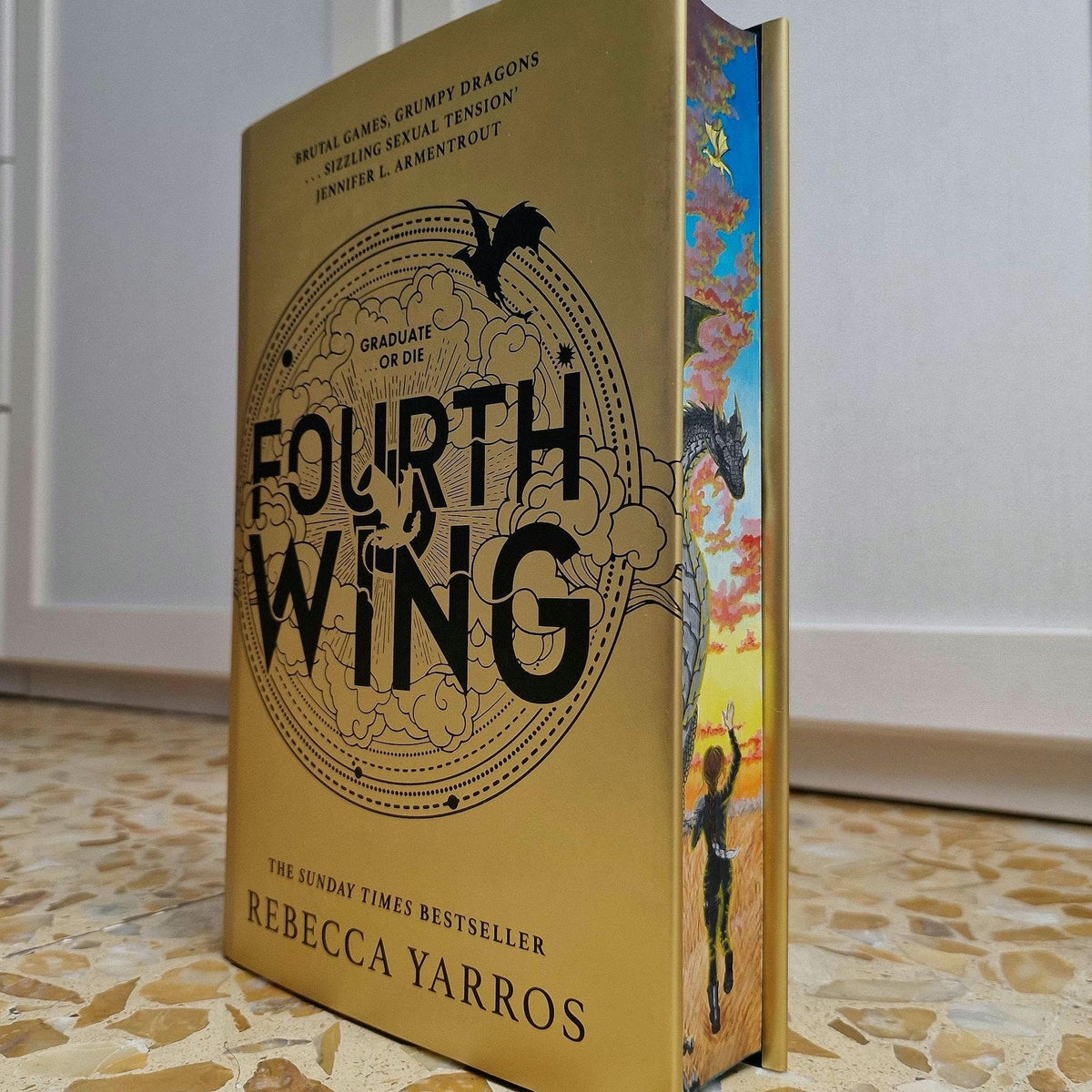 Pre-Order Unique Fourth Wing Fore-Edge Book Painting Special Edition